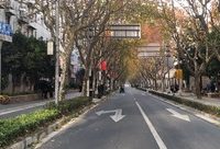 政通路改造完工，梧桐大道上開辟出上海首條拉桿箱專用道