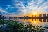 閔行 | 這里將建32萬㎡的“城市濕地公園”,沒有圍墻有驚喜! 閔行 | 這里將建32萬㎡的“城市濕地公園”,沒有圍墻有驚喜!