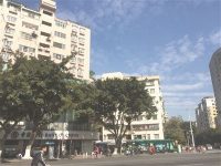 城中置業 “淘樓”前不妨先比價 城中置業 “淘樓”前不妨先比價