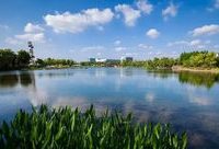 閔行 | 本地版西湖、最大人工湖，閔行那么多湖你去過幾個？