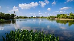 閔行 | 本地版西湖、最大人工湖，閔行那么多湖你去過幾個？