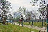 金山 | 每個金山人都關心的2017年重大工程實事項目,完成得咋樣了? 金山 | 每個金山人都關心的2017年重大工程實事項目,完成得咋樣了?