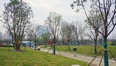 金山 | 每個金山人都關心的2017年重大工程實事項目，完成得咋樣了？