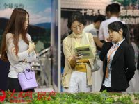 盤點2017年樓市關鍵詞：房住不炒 調控中前行