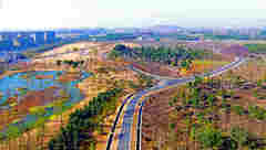 本市第六座！松江廣富林郊野公園“低調”開園，園中不少設施還在建設中？