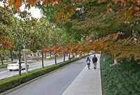 松江 | 4條主干道人非分離、12條路段補上人行道，松江道路慢行系統持續完善……