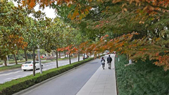 松江 | 4條主干道人非分離、12條路段補上人行道，松江道路慢行系統持續完善……