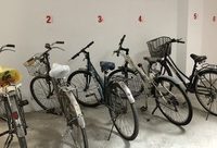 小區安裝車棚也要動用價格杠桿、管理思維？上海這個居民區做到啦