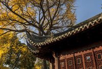 讀城 | 你只知道萬國建筑群，卻不懂上海老城廂