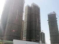 東莞：住宅限購 高價地難逃虧本“魔咒”