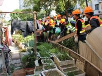 “圍公共綠地、植私人綠化”到底允許嗎？答復：“以綠圈綠”本質屬于侵占公共綠地行為