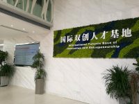 楊浦啟動“無否決”人才服務窗口：辦事只跑一次，窗口不能說“不”