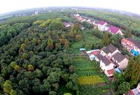 圈出460畝研發總部用地建上海灣區科創中心，金山主動擁抱杭州灣大灣區