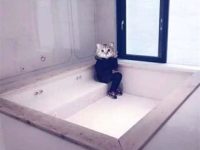 郭敬明曬新豪宅照 網友調侃浴缸像游泳池