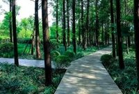 閔行 | 盡情森呼吸！閔行綠道已超50公里，今年還將再建20公里