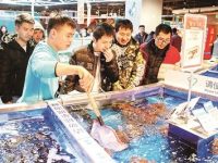 多個商圈掀起盒馬爭奪戰 多個商圈掀起盒馬爭奪戰