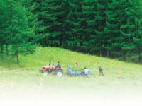 中國啟動大規模國土綠化行動 2020年森林覆蓋率將達到23.04% 中國啟動大規模國土綠化行動 2020年森林覆蓋率將達到23.04%