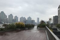 老外灘親水平臺延伸了!元旦起,市民可沿親水平臺從外白渡橋步行到老碼頭 老外灘親水平臺延伸了!元旦起,市民可沿親水平臺從外白渡橋步行到老碼頭