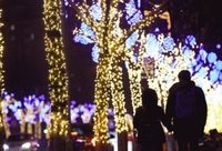 閔行 | 閔行版“外灘建筑群”來了!今晚,莘莊南廣場景觀燈光點亮 閔行 | 閔行版“外灘建筑群”來了!今晚,莘莊南廣場景觀燈光點亮