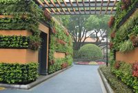 靜安 | 這個區最袖珍的公園重新開放，你還能認出它么？