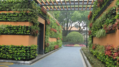 靜安 | 這個區最袖珍的公園重新開放,你還能認出它么? 靜安 | 這個區最袖珍的公園重新開放,你還能認出它么?