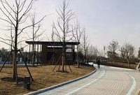 普陀 | 又添一處濱河綠地，或許就在你家附近哦