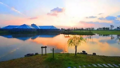 金山 | “田園城鎮”來了!快看最新規劃 金山 | “田園城鎮”來了!快看最新規劃