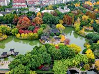 參照國家生態領域最高水平、最嚴要求，奉賢給自己的生態環境指標逐項打分