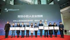 楊浦服務雙創“十大品牌”集中發布,政府出資、出地,鼓勵創新“小巨人”崛起 楊浦服務雙創“十大品牌”集中發布,政府出資、出地,鼓勵創新“小巨人”崛起