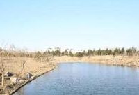 閔行 | 470個足球場大小的外環綠帶工程基本建成,塊塊有亮點 閔行 | 470個足球場大小的外環綠帶工程基本建成,塊塊有亮點