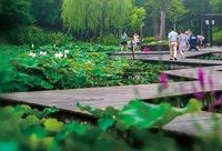 金山 | 新建7座公園綠地，你都去過嗎？