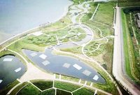 金山 | 鸚鵡洲生態濕地冬游體驗報告來了，想去游玩的市民別錯過