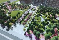 金山 | 近2萬平方米!這里又增一處綠地 金山 | 近2萬平方米!這里又增一處綠地