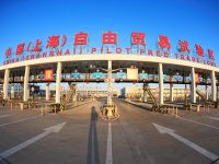 上海自貿區：四年新設企業5.2萬家 “這里是種苗圃不是栽盆景”