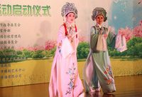 上海小鎮舉行“鄉村戲曲文化周”,竟然吸引來了眾多的國家一級演員 上海小鎮舉行“鄉村戲曲文化周”,竟然吸引來了眾多的國家一級演員