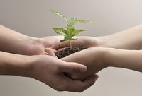 金山拿出超過1000萬元扶持資金,啟動新一輪創新創業大賽 金山拿出超過1000萬元扶持資金,啟動新一輪創新創業大賽