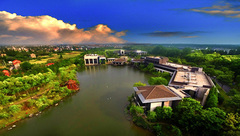 詩意稻田，一鎮一樹……上海農村引入先鋒藝術是啥樣