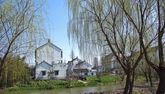 金山廊下鎮做大農民“朋友圈”，設立鄉村振興實驗室