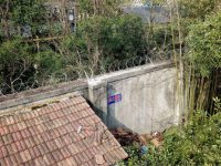 杜絕翻墻逃票！上海野生動物園又有新舉措，上半年完成人防技防布局