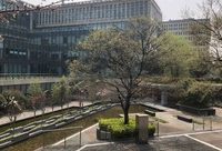 上海這個區6位委辦局負責人來到這家世界500強,竟被停車難“問倒”? 上海這個區6位委辦局負責人來到這家世界500強,竟被停車難“問倒”?