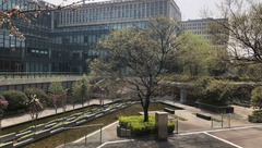 上海這個區6位委辦局負責人來到這家世界500強，竟被停車難“問倒”？