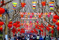 流動的“非遺”舞臺，“元宵行街會”驚艷上海街頭