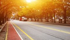 開工了！這9條道路的“蜘蛛網”將先期”入地”！