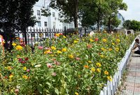 嘉定這批“騎友”，以前騎行天下，現在竟然愛圍著街道打轉