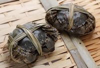 河蟹界“大長腿”轉會,叫價1500萬元?上海“江海21”創國內水產品種轉讓最高價 河蟹界“大長腿”轉會,叫價1500萬元?上海“江海21”創國內水產品種轉讓最高價