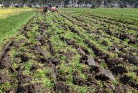 上海農民除了種地,還愛上了“養地”?全國首個耕地質量保護險在松江啟動 上海農民除了種地,還愛上了“養地”?全國首個耕地質量保護險在松江啟動