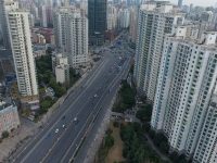 普陀151幢商務樓宇都將迎來“樓長”，他們背后還有一支服務聯盟“撐腰”