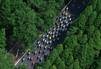 崇明將呈現持續9個月的“體育盛宴”,去田間地頭活動筋骨感受體育魅力吧! 崇明將呈現持續9個月的“體育盛宴”,去田間地頭活動筋骨感受體育魅力吧!