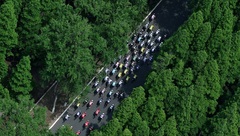 崇明將呈現持續9個月的“體育盛宴”,去田間地頭活動筋骨感受體育魅力吧! 崇明將呈現持續9個月的“體育盛宴”,去田間地頭活動筋骨感受體育魅力吧!