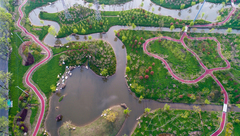 崇明越來越好玩!修民宿、開飯店、建景區有補貼,用一部手機可暢游崇明 崇明越來越好玩!修民宿、開飯店、建景區有補貼,用一部手機可暢游崇明